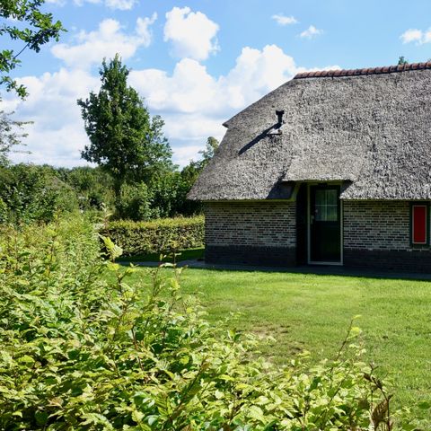 Vakantiepark De Lourenshoeve - Camping Twenterand - Afbeelding N°3