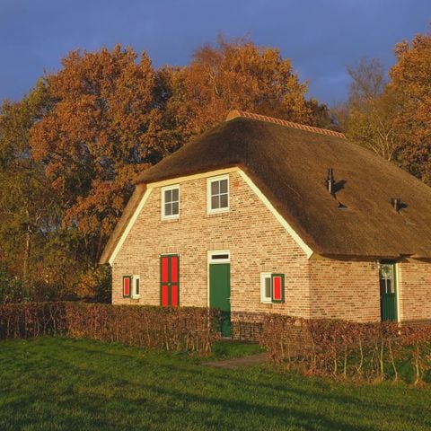 Vakantiepark De Lourenshoeve - Camping Twenterand - Afbeelding N°4