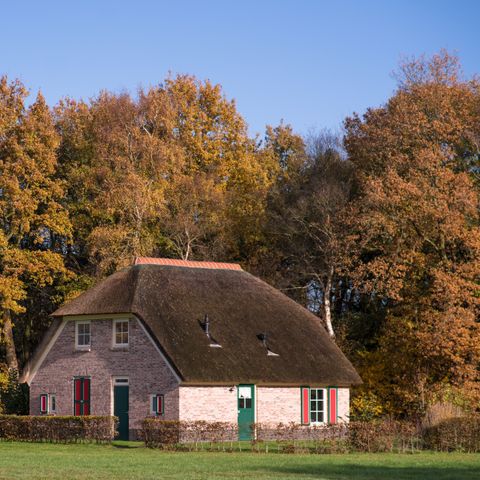 Vakantiepark De Lourenshoeve - Camping Twenterand - Afbeelding N°5