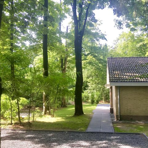 Bungalow 4 personen - Kastanje