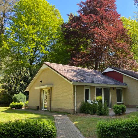 Bungalow 4 personen - Kastanje