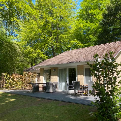 Bungalow 4 personen - Kastanje