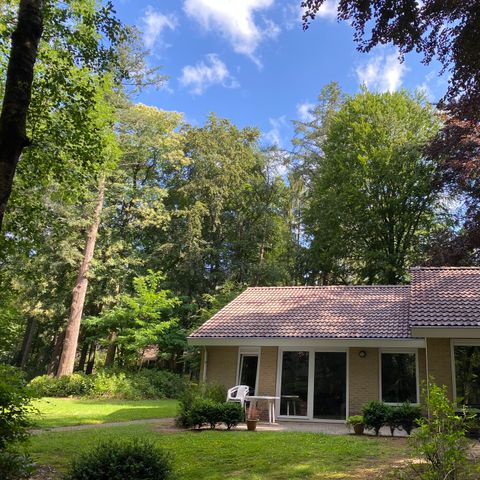 Bungalow 4 personen - Kastanje