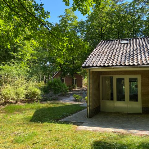 Bungalow 4 personen - Calluna