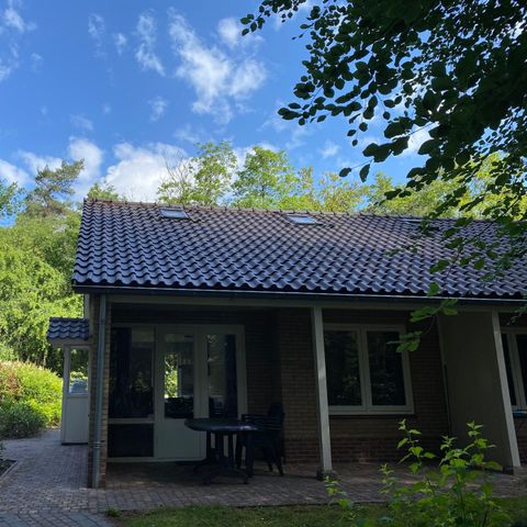 Bungalow 4 personen - Calluna