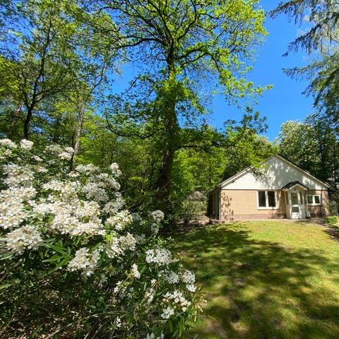 Bungalow 4 personen - Calluna