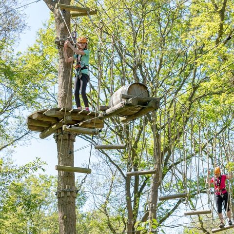 Villapark De Weerribben - Camping Steenwijkerland - Afbeelding N°3