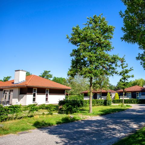 Bungalow 4 personen - Parkwoning