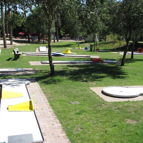 RecreatieParc De Witte Vennen - Camping Venray - Afbeelding N°6