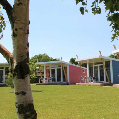 Molecaten Park Waterbos - Camping Westvoorne - Afbeelding N°4