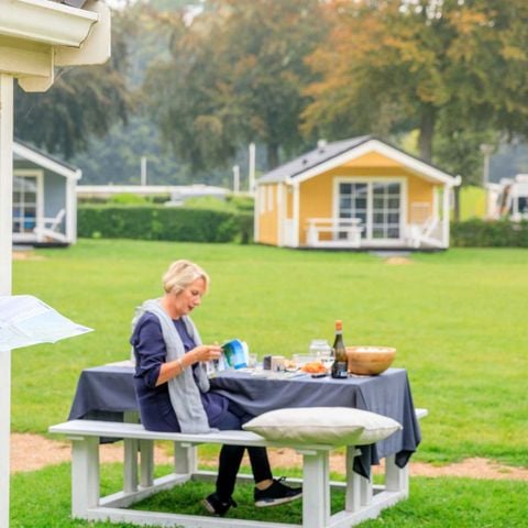 Molecaten Park Waterbos - Westvoorne - Afbeelding N°4