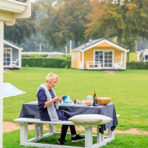 Molecaten Park Waterbos - Camping Westvoorne - Afbeelding N°6
