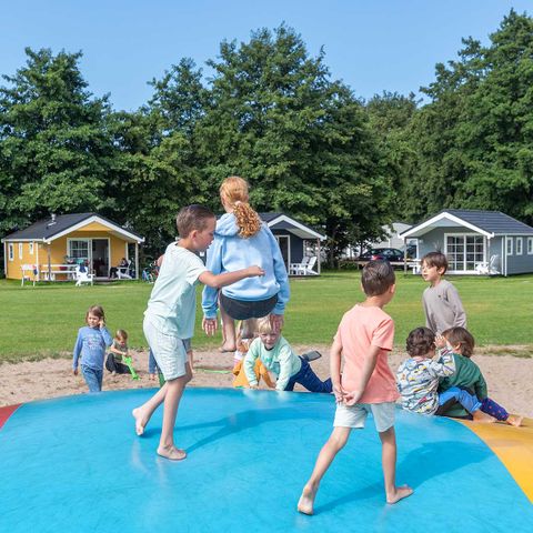 Molecaten Park Waterbos - Camping Westvoorne - Afbeelding N°3