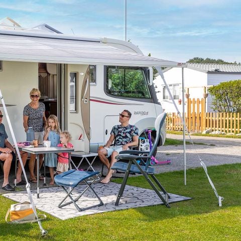 Molecaten Park Rondeweibos - Camping Westvoorne - Afbeelding N°5