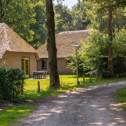 Bungalow 6 personen - Molecaten
