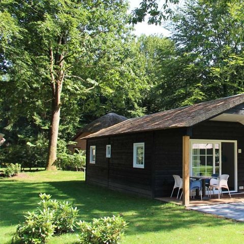 Bungalow 4 personen - Hanze