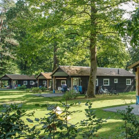 Bungalow 4 personen - Hanze