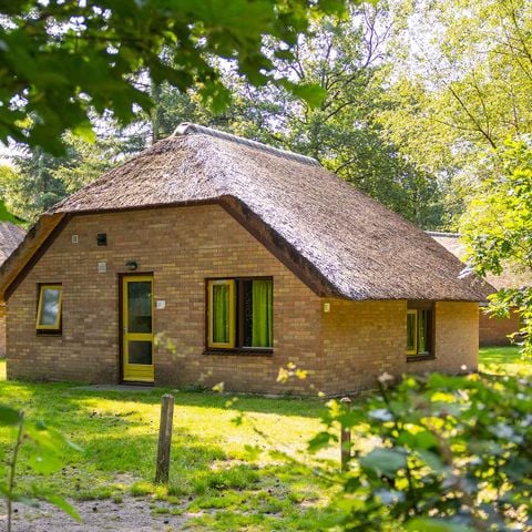 Bungalow 6 personen - Hattem