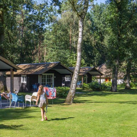 Molecaten Park De Leemkule - Camping Hattem - Afbeelding N°3