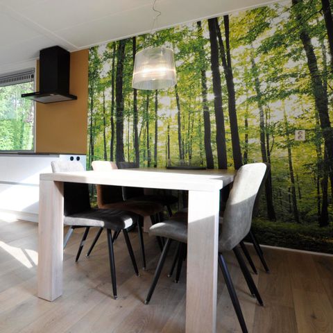 Bungalow 6 personen - Populier | 4+2 personen 