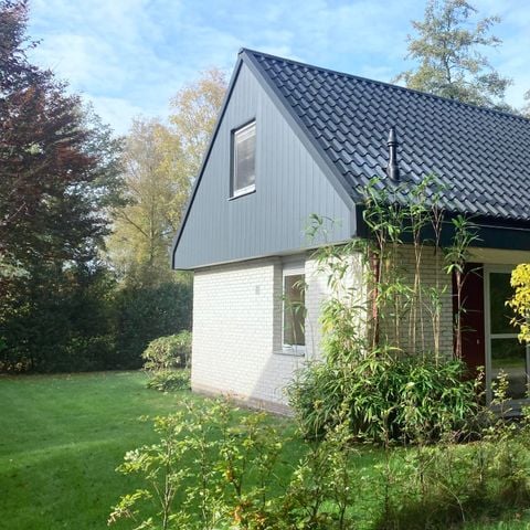 Bungalow 6 personen - Populier | 4+2 personen 