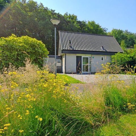 Bungalow 6 personen - Populier budget | 4+2 personen
