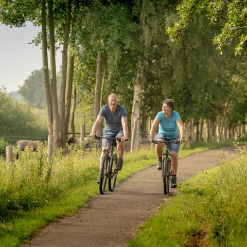 Bungalowpark Het Bosmeer - Camping Weststellingwerf - Afbeelding N°3