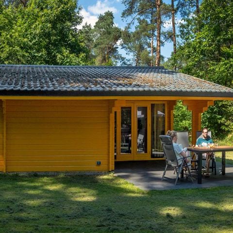 VAKANTIEHUIS 4 personen - Dartheide