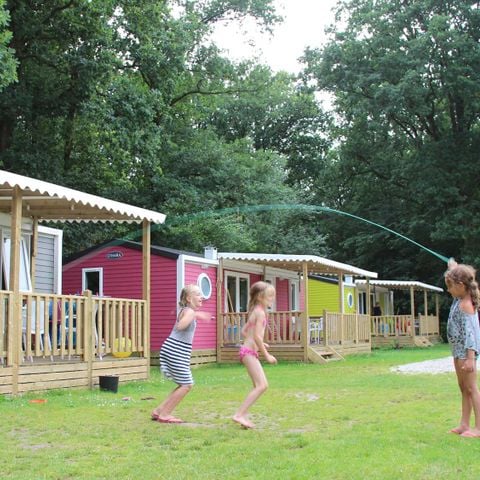 Chalet 6 personen - Lupine