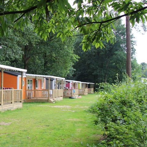 Chalet 6 personen - Lupine