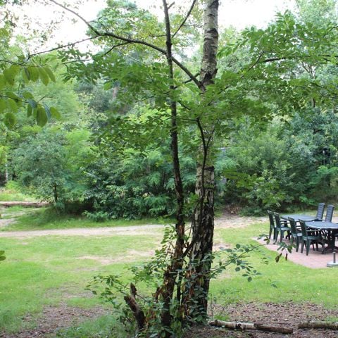 VAKANTIEHUIS 8 personen - Heidestein