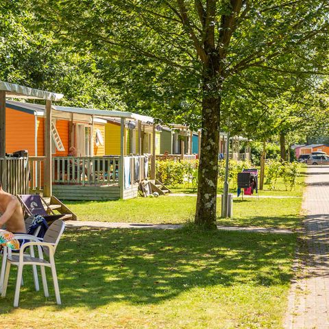 Molecaten Park Bosbad Hoeven - Camping Halderberge - Afbeelding N°2