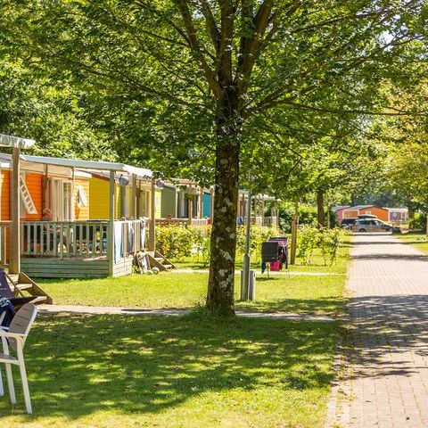 Chalet 6 personen - Pioen