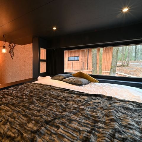 Chalet 6 personen - Forest Cube Tradtion (max. 4 adults)