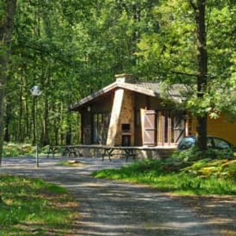 Chalet 6 personen - Renard