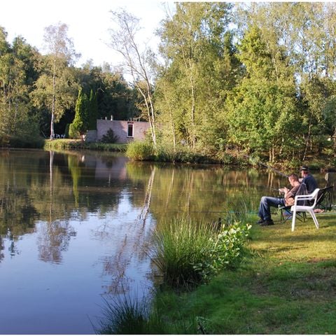 Recreatiecentrum Adelhof - Camping Westerveld - Afbeelding N°5