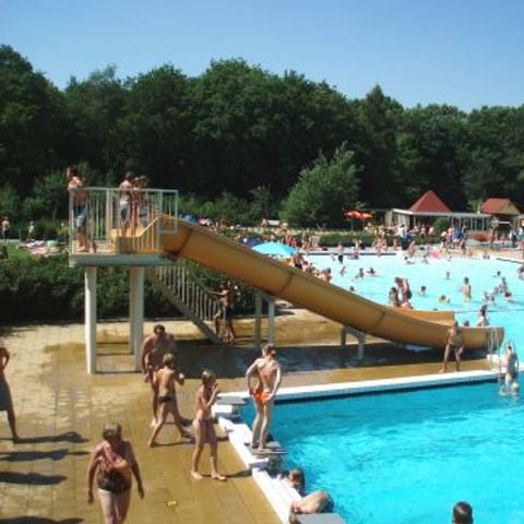 Recreatiecentrum Adelhof - Camping Westerveld - Afbeelding N°4