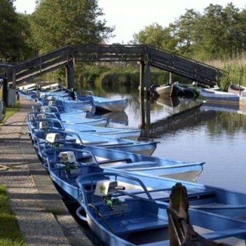 Buitengoed Fredeshiem - Camping Steenwijkerland - Afbeelding N°6