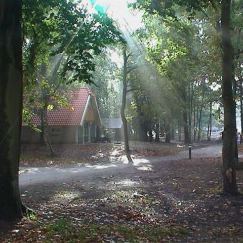 Buitengoed Fredeshiem - Camping Steenwijkerland - Afbeelding N°2