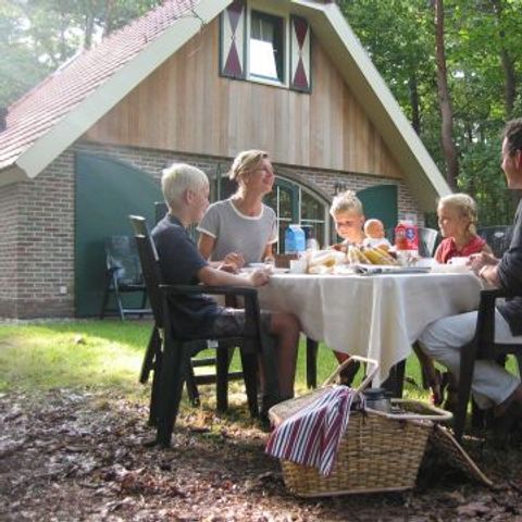 Buitengoed Fredeshiem - Camping Steenwijkerland - Afbeelding N°5