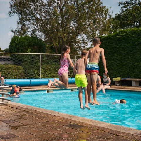 Vakantiepark Delftse Hout - Camping Delft - Afbeelding N°2