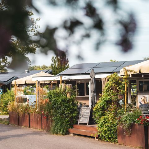 Vakantiepark Delftse Hout - Camping Delft - Afbeelding N°4
