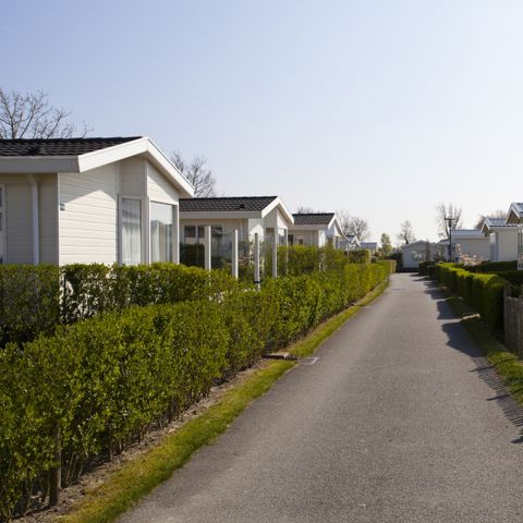 EuroParcs Schoneveld - Camping Sluis - Afbeelding N°5