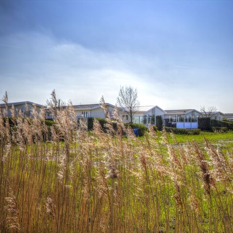 EuroParcs Schoneveld - Camping Sluis - Afbeelding N°2