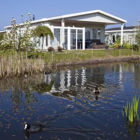 EuroParcs Schoneveld - Camping Sluis - Afbeelding N°4