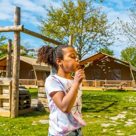Tent 6 personen - Glamping country