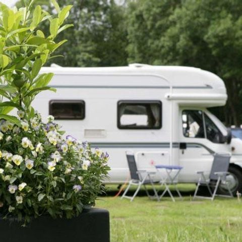 Kampeerplaats - Camperplaats comfort