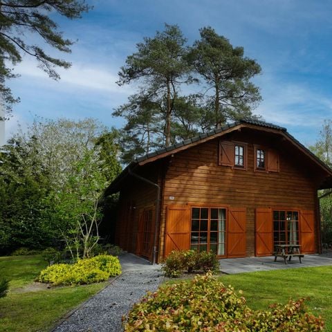 VAKANTIEHUIS 12 personen - Boekhorst l'etage
