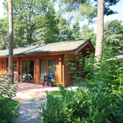 Chalet 4 personen - Boekhorst 4