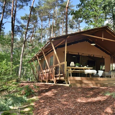 Tent 6 personen - Veluwelodge